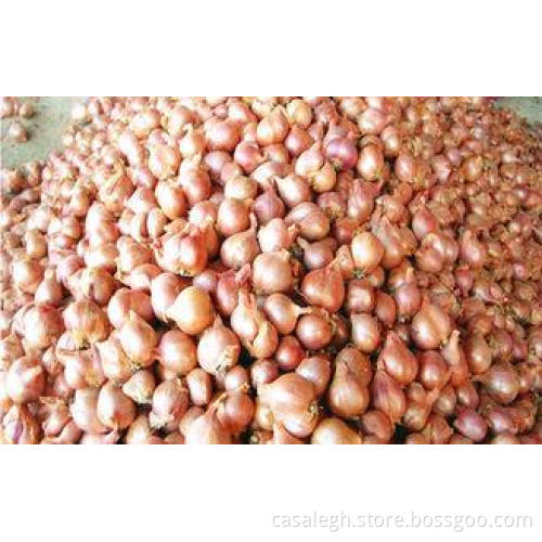 Non-Peeled Fresh Red Asian Shallot Contains Fibre , Anti-In